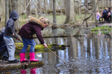 Exploring Nature Program Summary - Prek