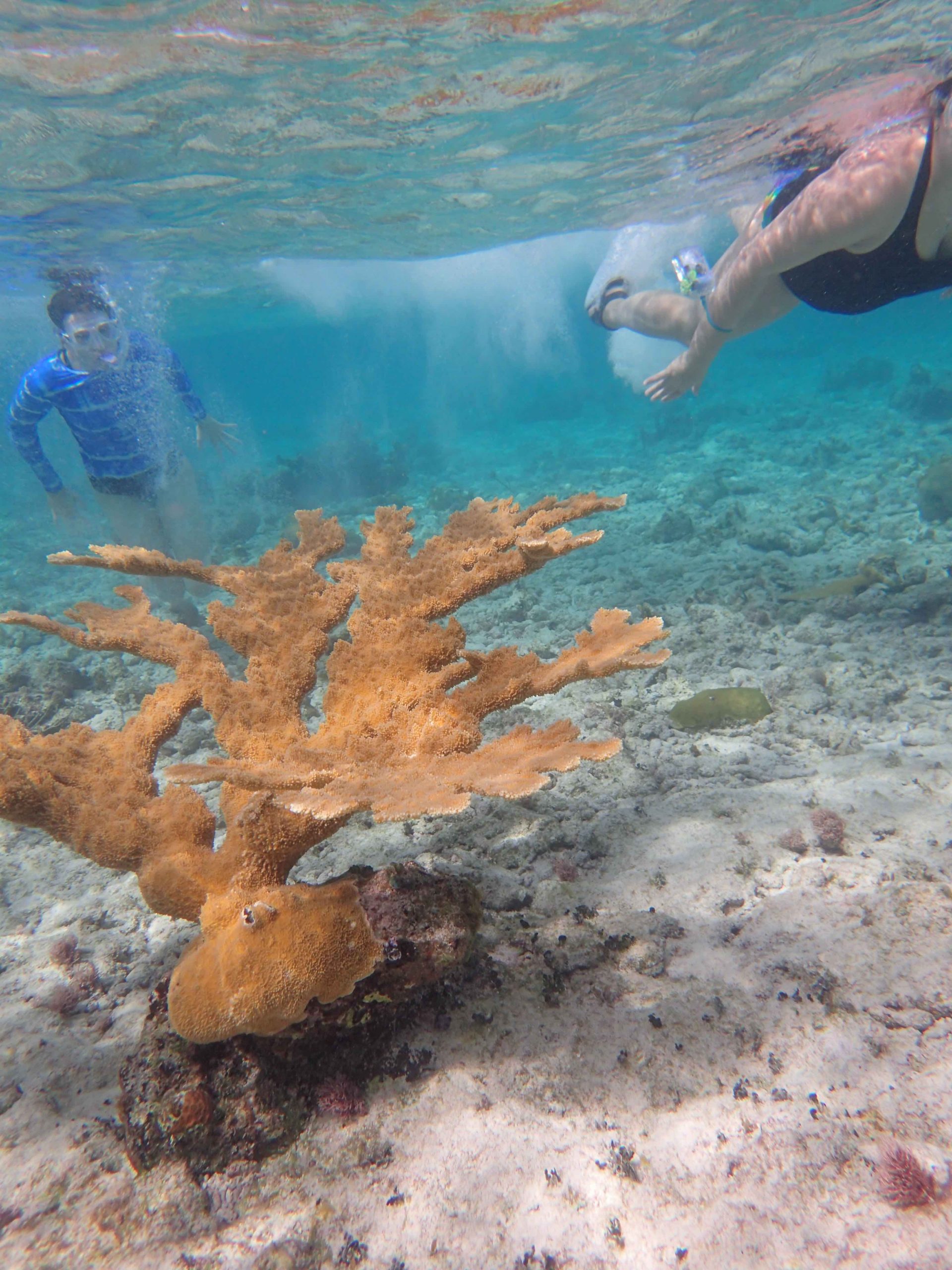 Exploring Goat Cay, part of Andros Marine National Park.