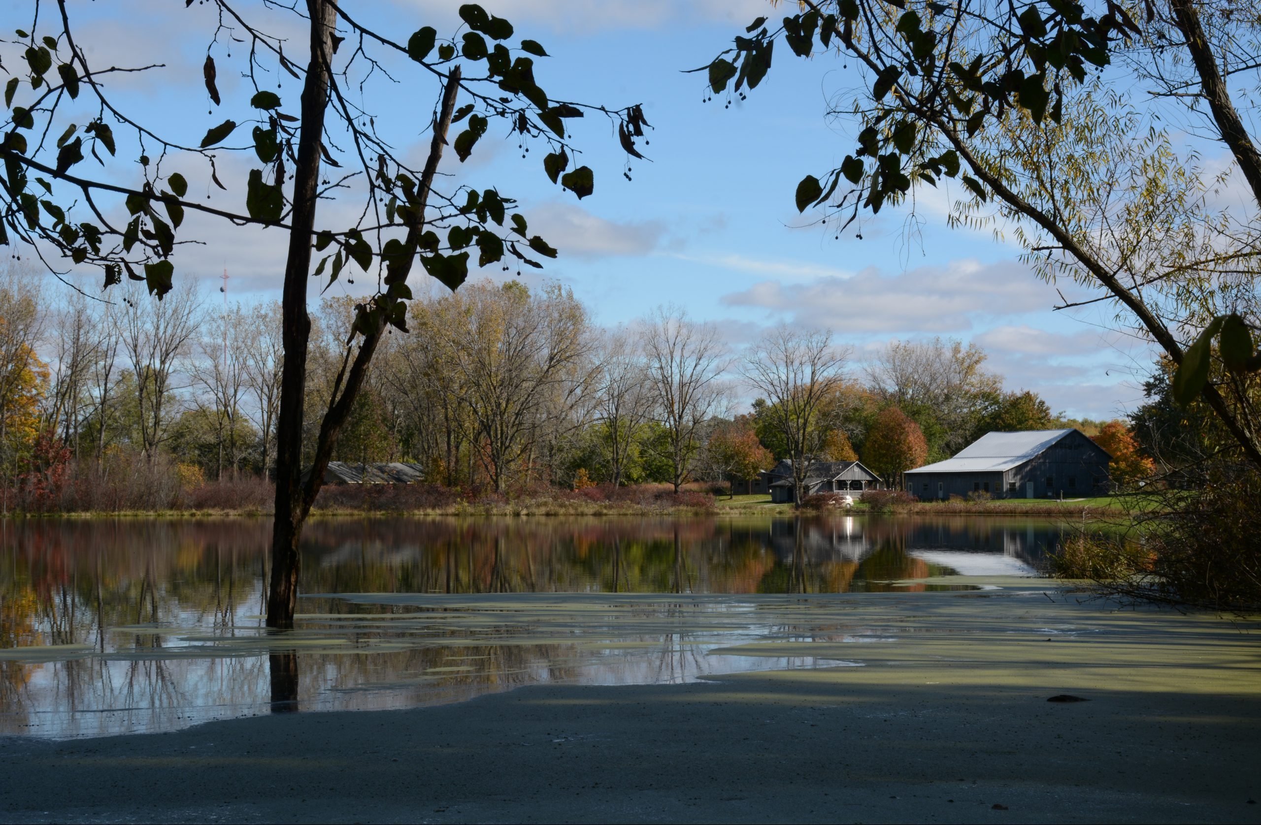 Wetland Restoration