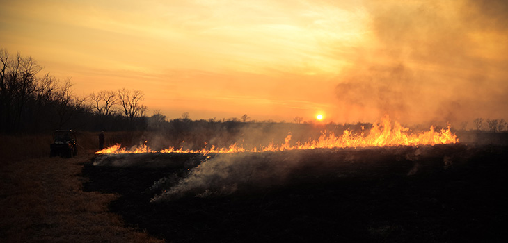 Prairies Burn a Month Early