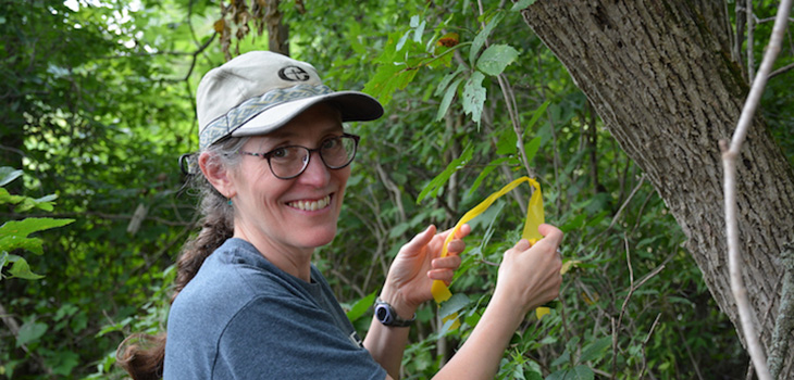 Merry Lea prepares to host nature preschool