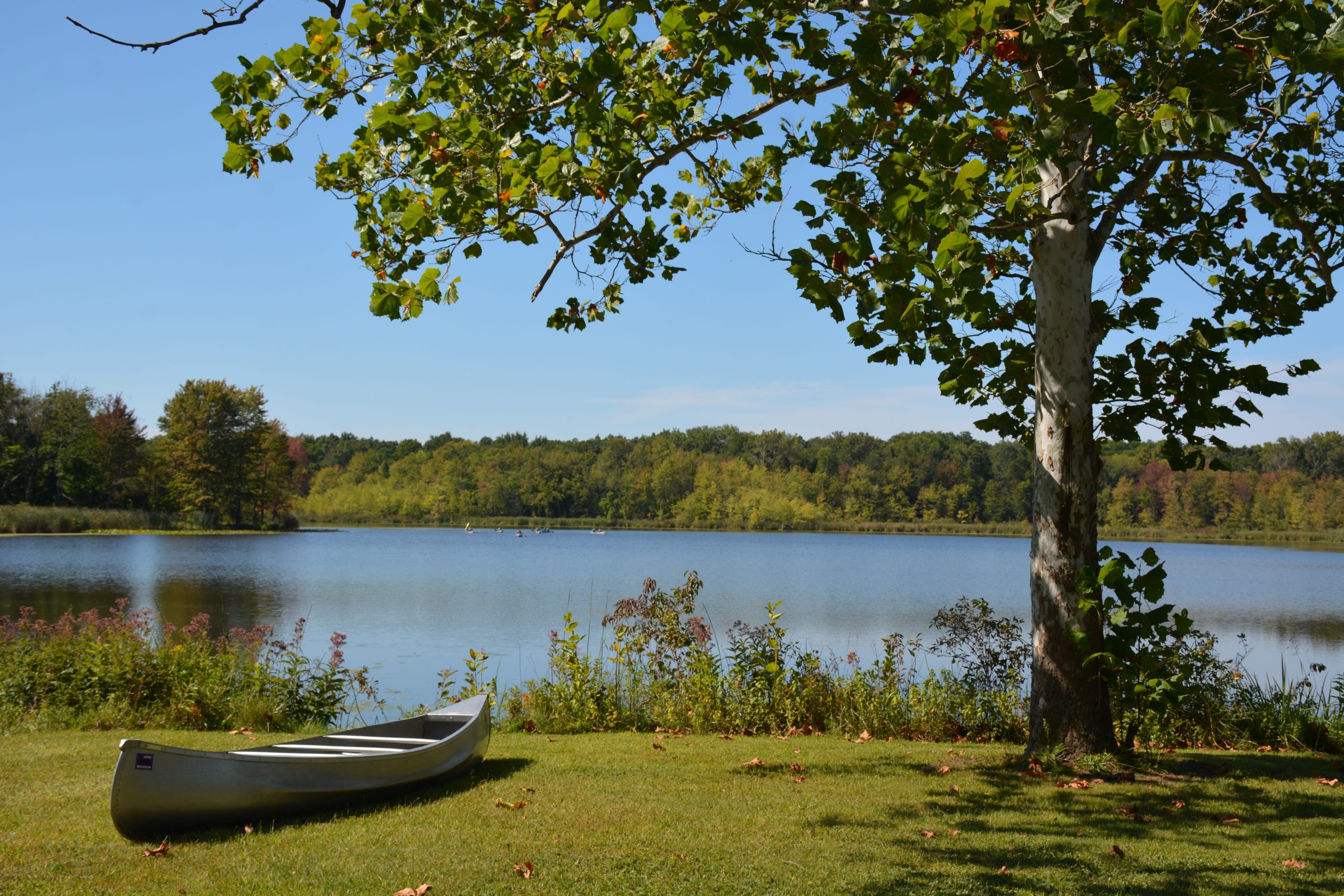 Water Quality Program Summary - 9th-12th