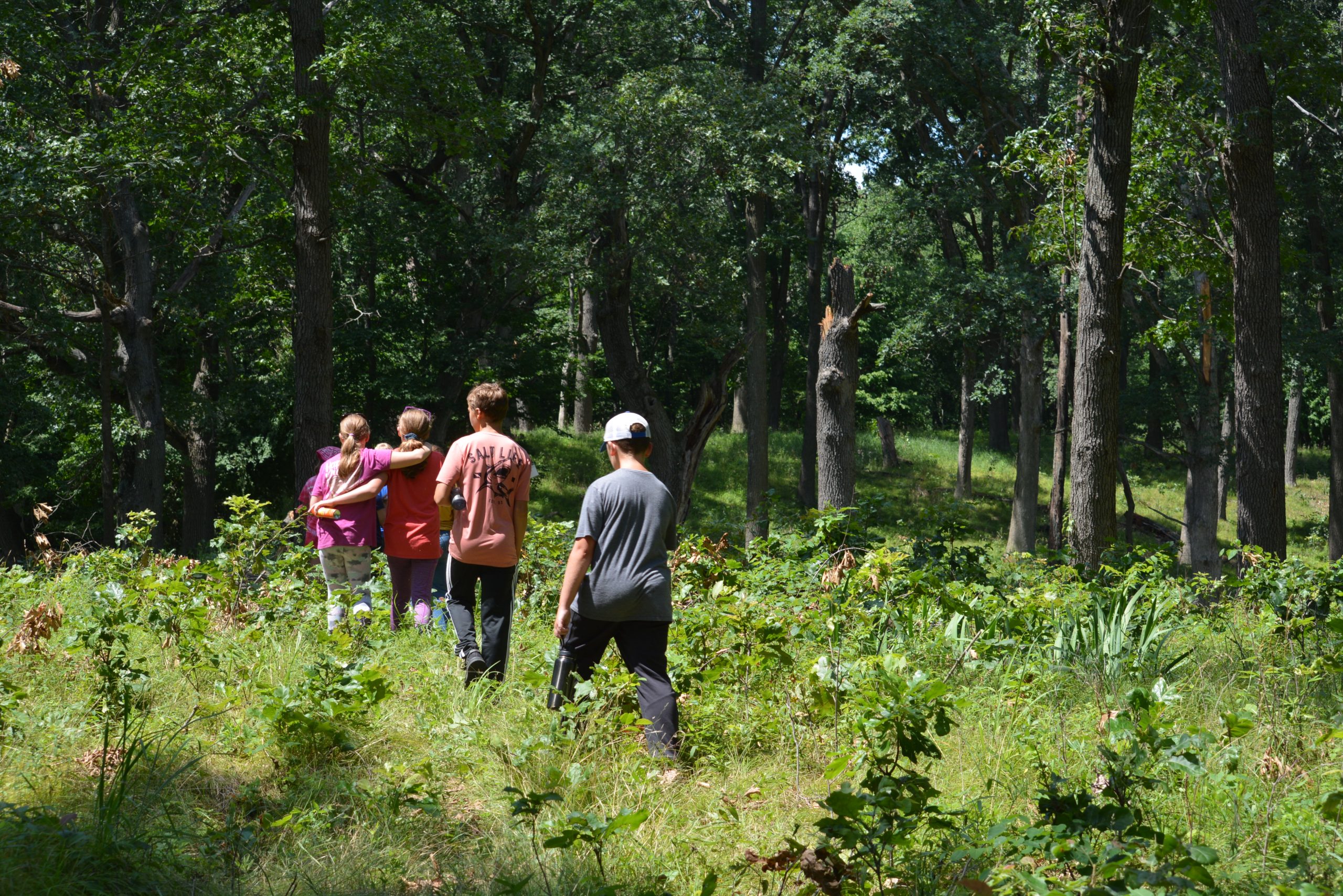 Biodiversity Program Summary - 6th-8th