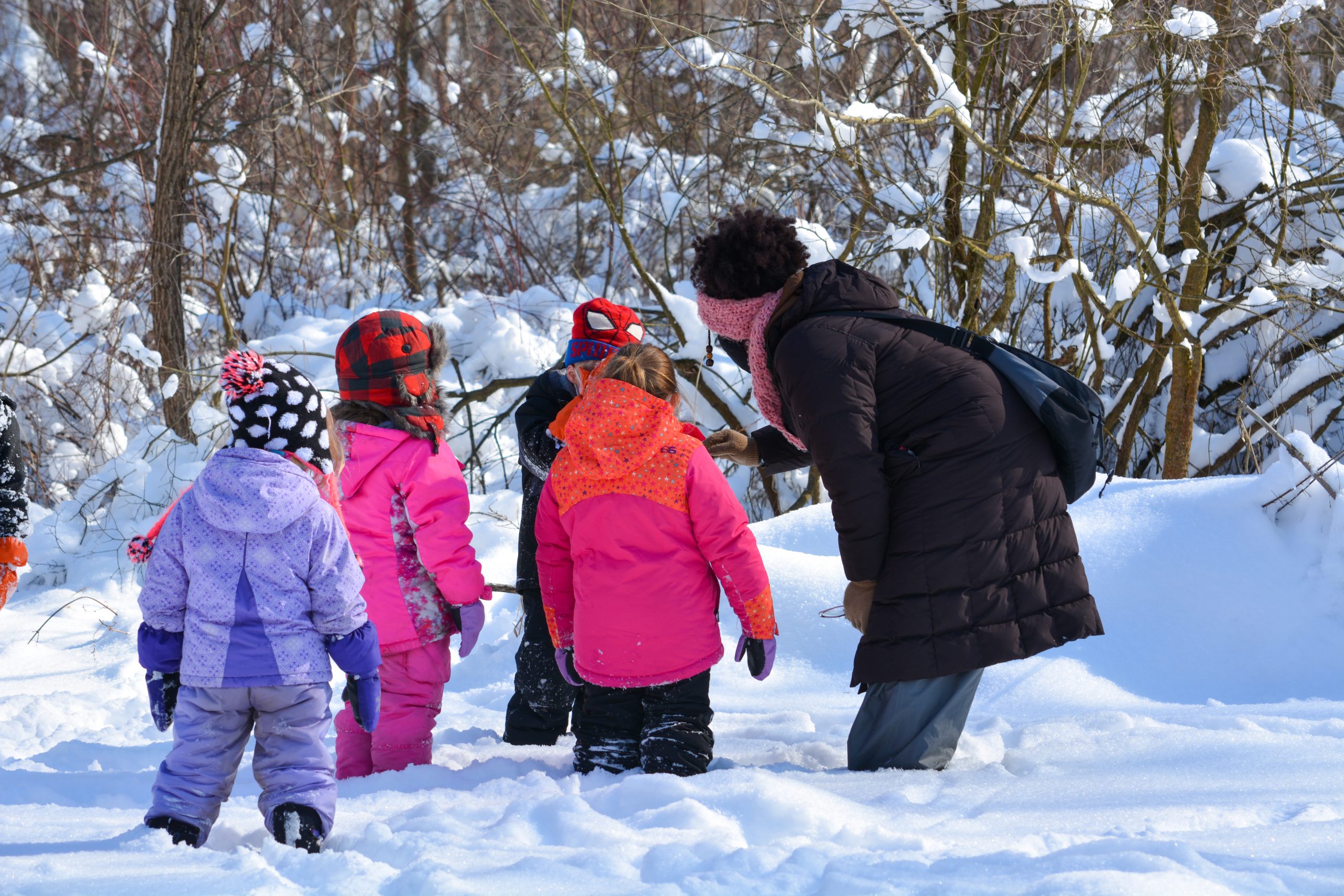 Winter Nature Program Summary - K-2nd