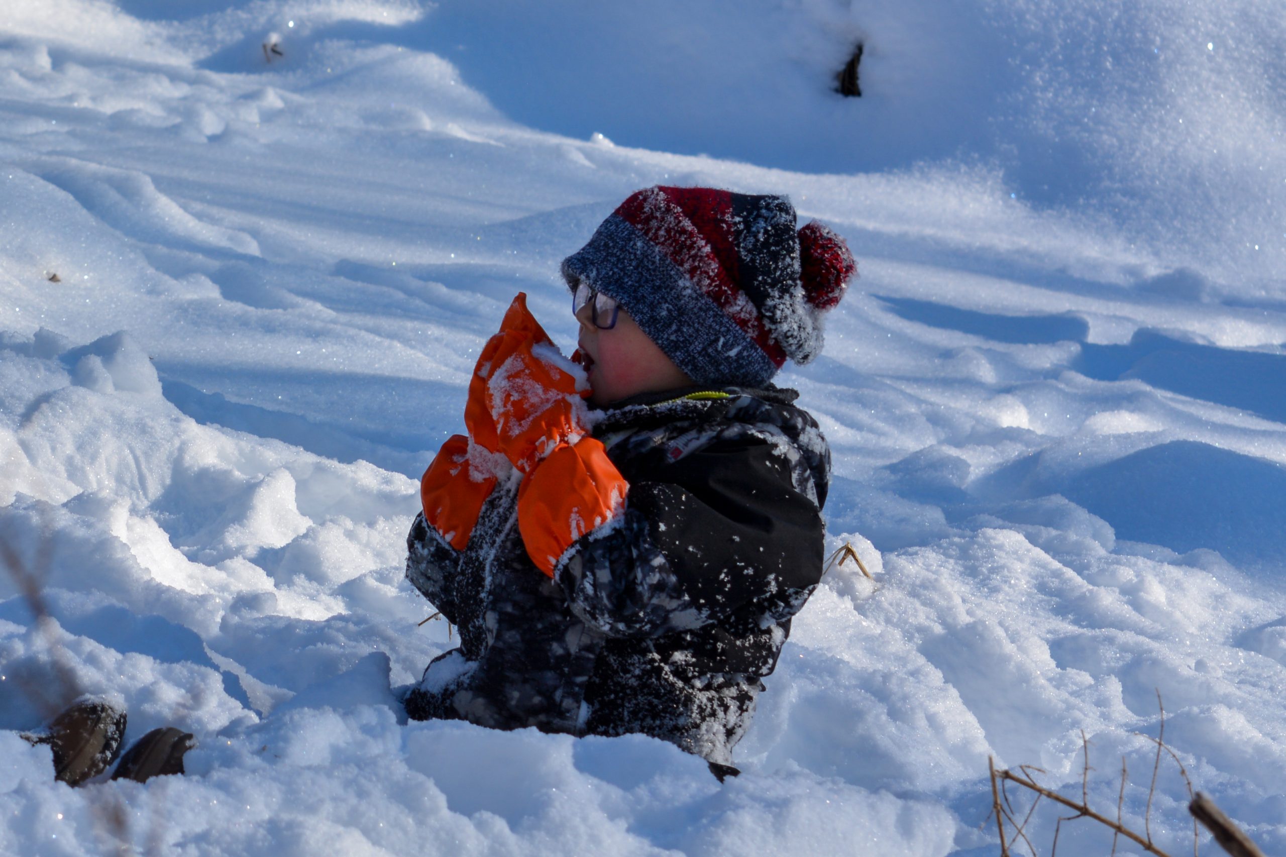 Winter Nature Program Summary - Prek