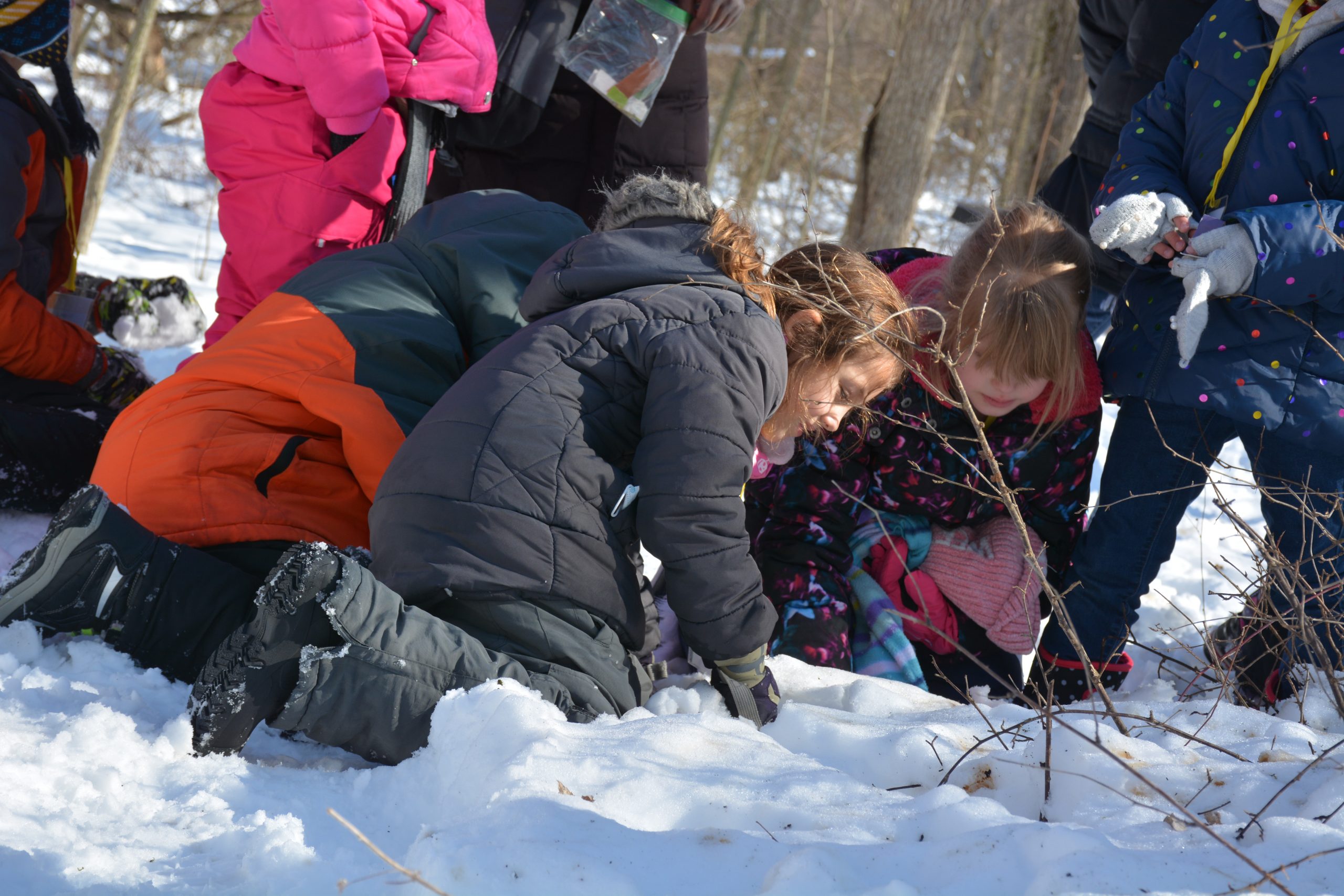 Winter Nature Program Summary - 3rd-5th