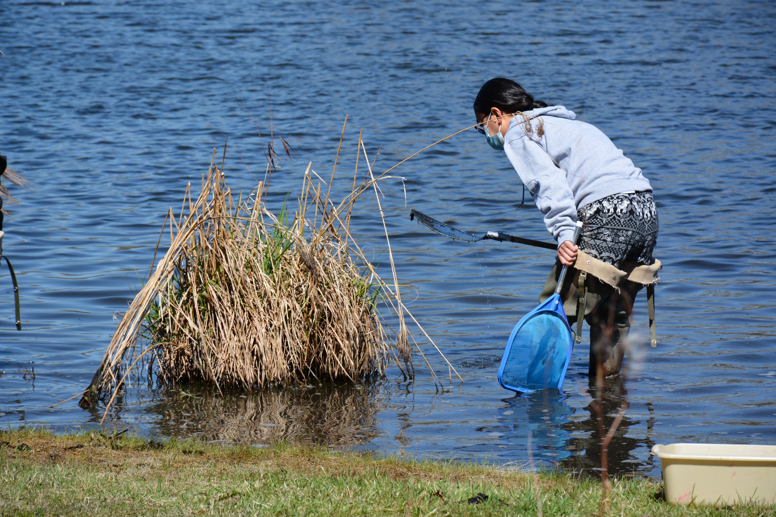 Wonderful Wetlands Program Summary 6th-8th