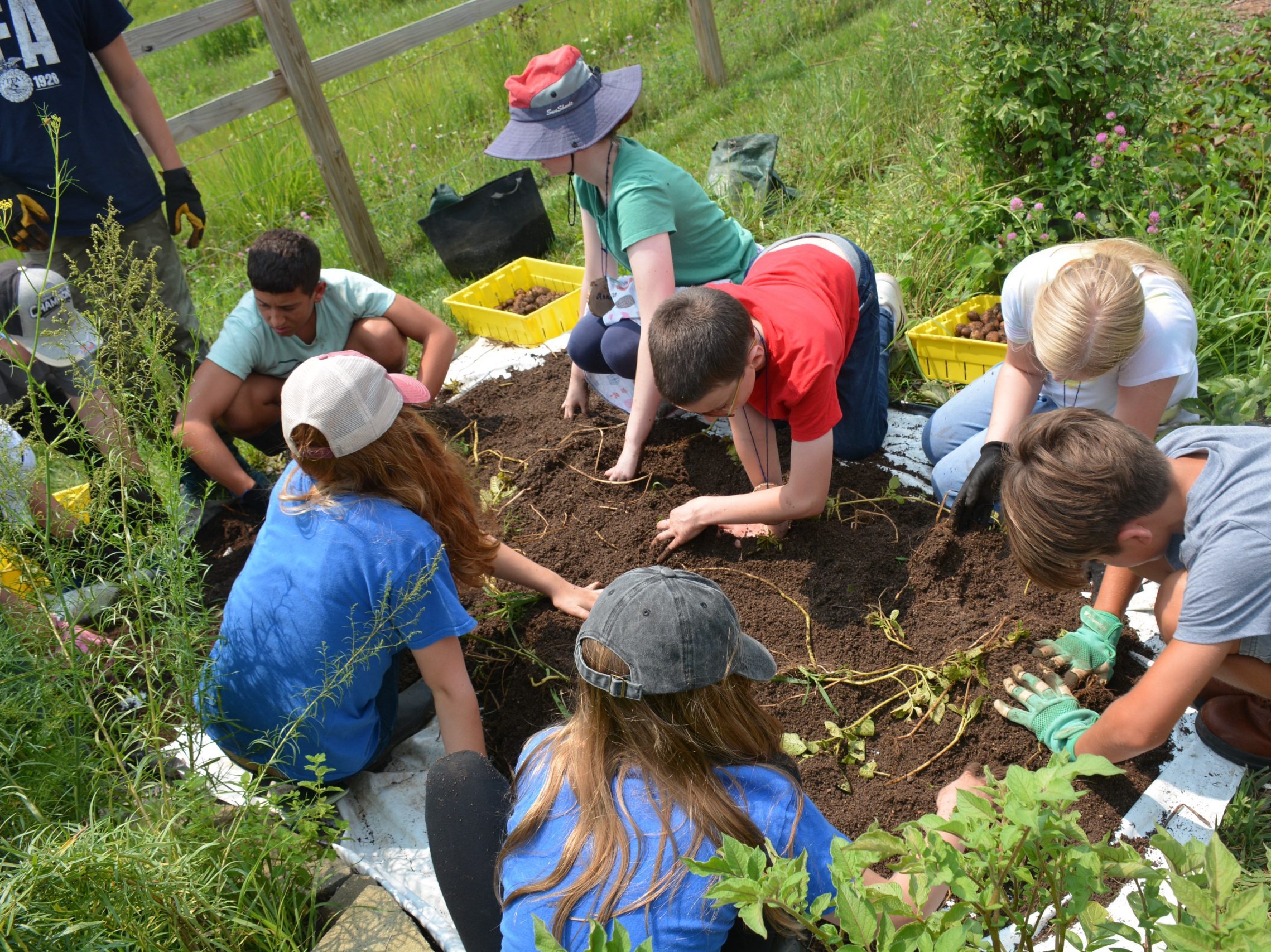 IMN helping plant in teaching garden