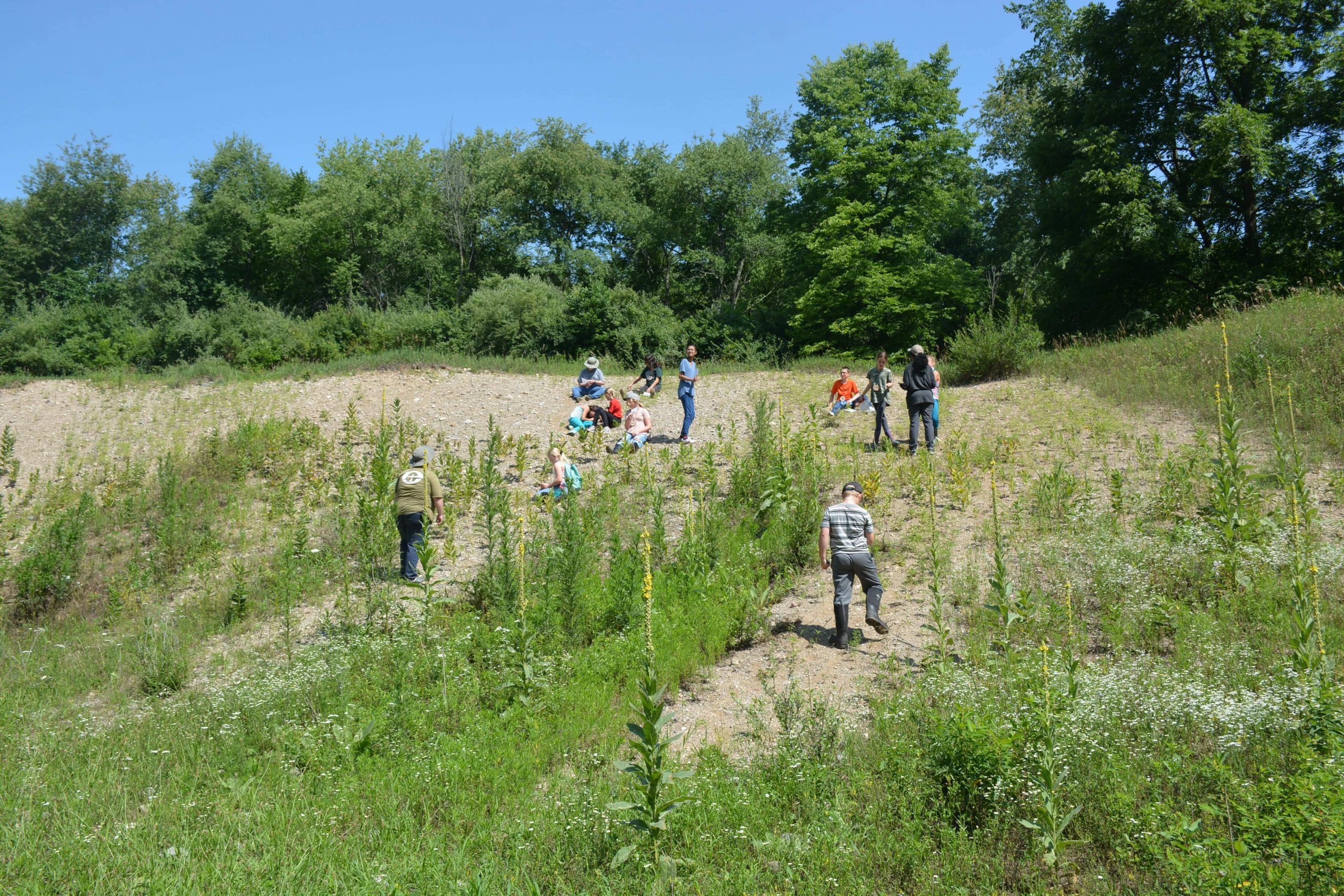 IMN exploring gravel pit