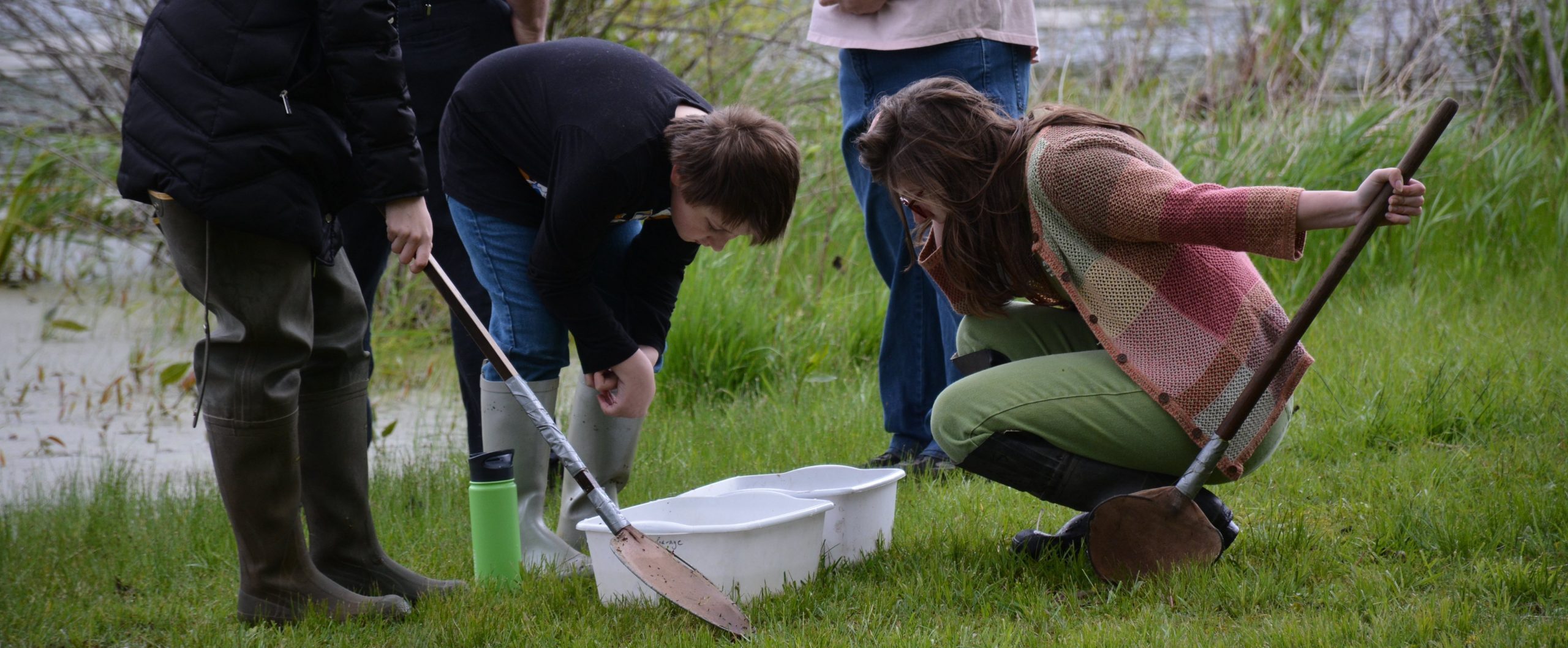 Dipping in Wetland - Volunteer