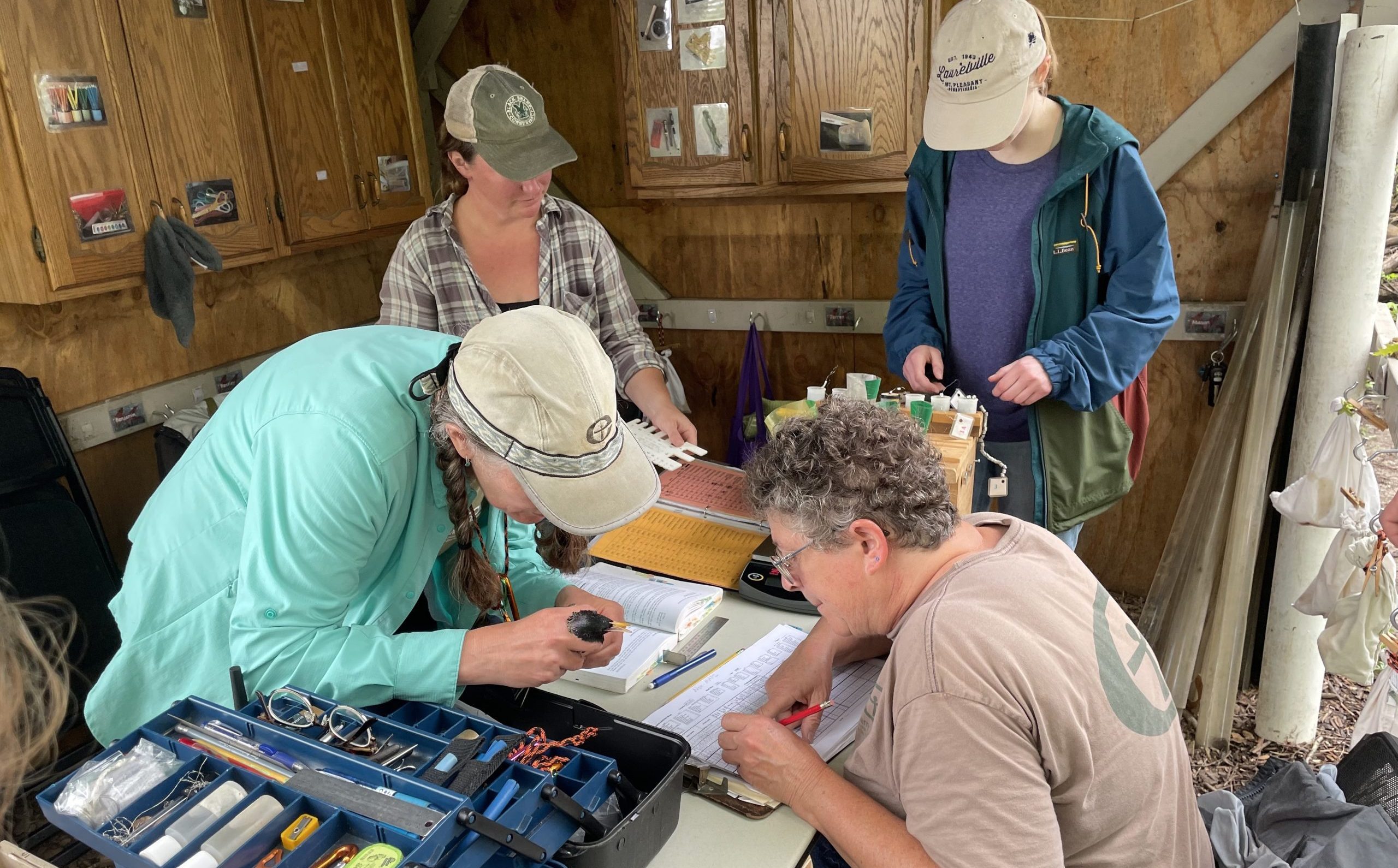 Bird Banding Volunteers